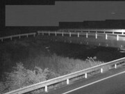 佐股橋