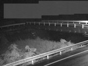 佐股橋