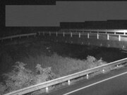 佐股橋