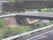 佐股橋
