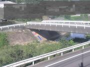 佐股橋