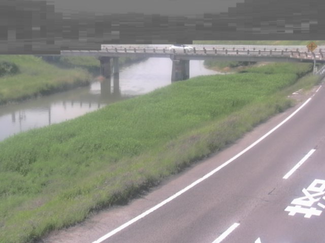 拡大画像