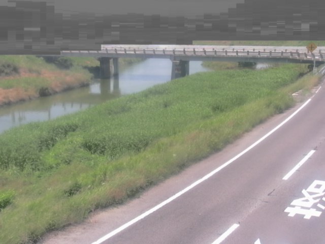 拡大画像