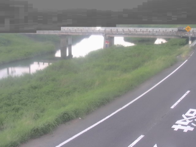 監視画像
