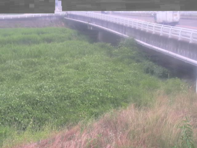 監視画像