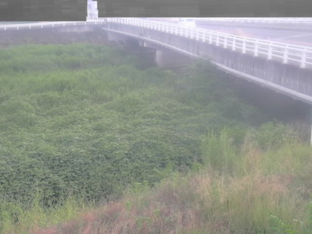 拡大画像
