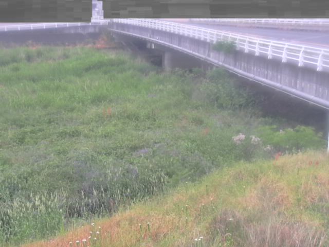 拡大画像