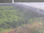 長瀬橋