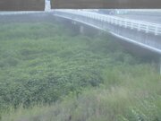 長瀬橋