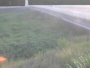 長瀬橋