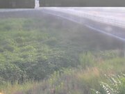長瀬橋