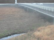 2026-01-29 14:00:00 +0900