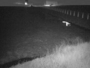 2026-02-20 03:00:00 +0900