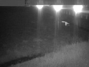 2026-03-30 19:00:00 +0900