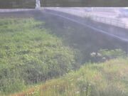 長瀬橋