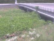 長瀬橋