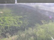 長瀬橋