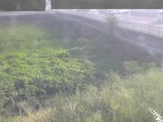 長瀬橋