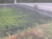 長瀬橋