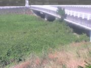 長瀬橋