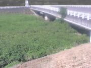 長瀬橋