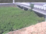 長瀬橋