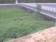 長瀬橋