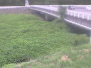 長瀬橋