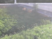 長瀬橋