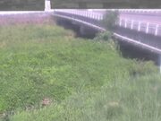 長瀬橋